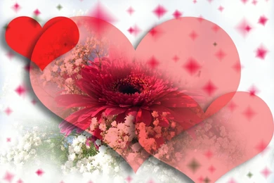 Desktop Wallpapers » Other Backgrounds » Red Hearts With Flowers ...