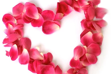 Images Of Hearts And Flowers   HD Wallpapers And Pictures