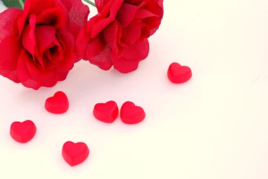 Images Of Flowers And Hearts   All Wallpapers New