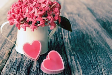 Love Images HD Wallpapers 2602