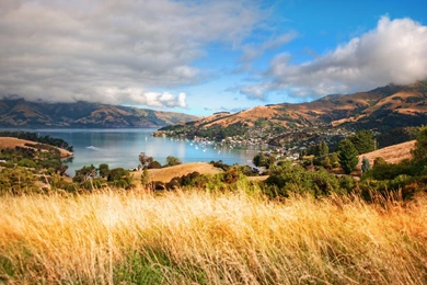 Brave Cinematic Art Wallpapers