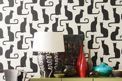 We Proudly Present Our Funky Wallpapers For A Truly Cool Lifestyle