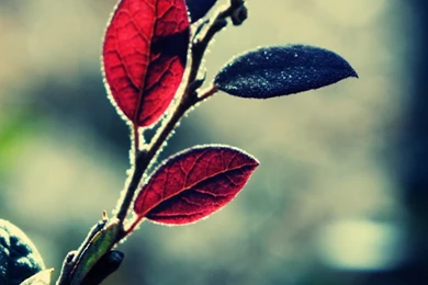 35+ Outstanding Collection Of Iphone Wallpapers   FunPulp