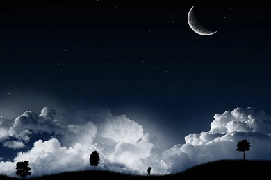 140379d1372057430 tree darkness tree darkness wallpapers 0.jpg