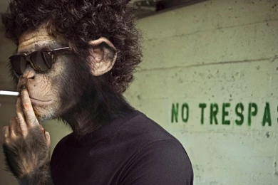 Funny Art Pictures: Download Free Pictures Of Funny Art