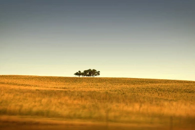 1920x1080 Late Summer Landscape Desktop PC And Mac Wallpapers