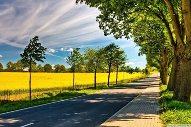 Late Summer Landscape