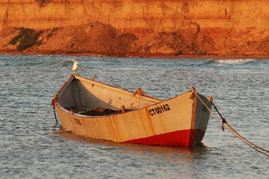 Nicu's FOSS'n'stuff: Summer Wallpapers