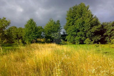 Late Summer By Mafteion On DeviantArt