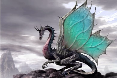 Green Dragon 23 Hd Wallpapers   Hivewallpaper.com