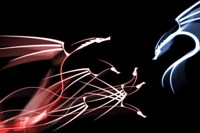 Dragon Abstract Hd Wallpapers   (