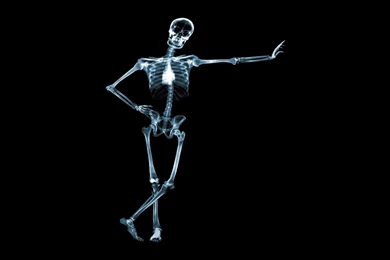 X Ray Wallpapers » WallDevil   Best Free HD Desktop And Mobile ...