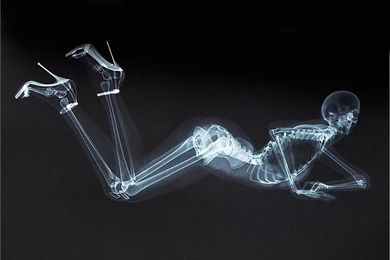 Xray 1748x1192 wallpaper 949622.jpg