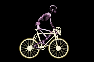 Bicycle Xray   Wallpapers