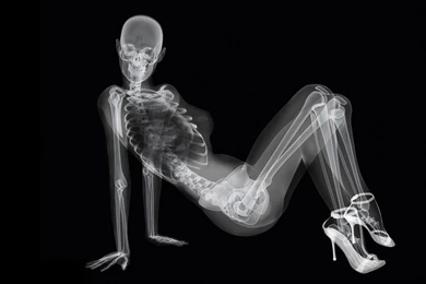 Xray Supermodel   HD Wallpapers Widescreen   2880x1800