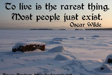 Sassy Sayings Winter Edition