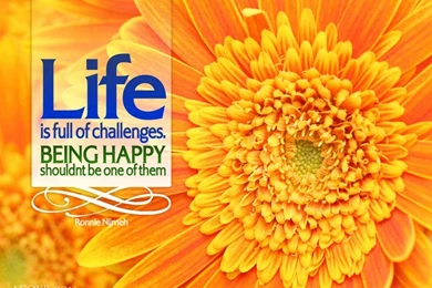 ACQYR Wallpaper 016_Nijmeh 1024x768.jpg