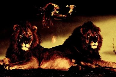 BOB MARLEY & THE WAILERS Reggae D Wallpapers