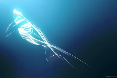 Classic Design Wallpapers 26046   Celebrity Symphony   Colorful ...