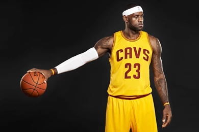 Download Free LEBRON JAMES Basket Ball Is Small For Him