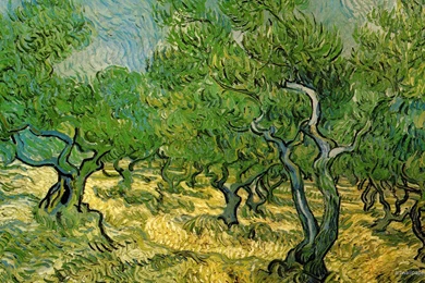 Vincent Van Gogh Computer Wallpapers, Desktop Backgrounds ...