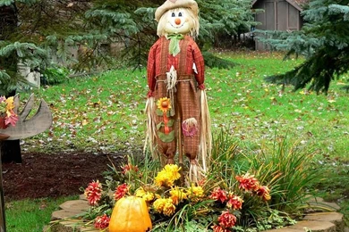 Autumn Display : Scarecrow & Pumpkins Wallpapers   Wallcoo.net