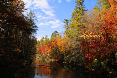 Fall Wallpapers, Fall Facebook Covers, Fall Printables By Kate.net