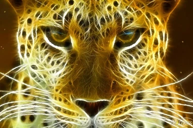 Download Free Wild Felines Animated Wallpaper, Wild Felines ...