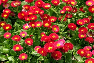 HD Wallpapers Freebie   Quality Free Download Wallpapers