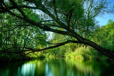 Free Hd Nature Wallpapers   All Wallpapers New