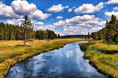 Wallpapers Hd Nature Download   HD Wallpapers And Pictures