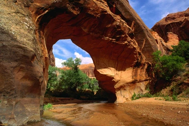 The Grand Canyon HD Wallpapers Free Download