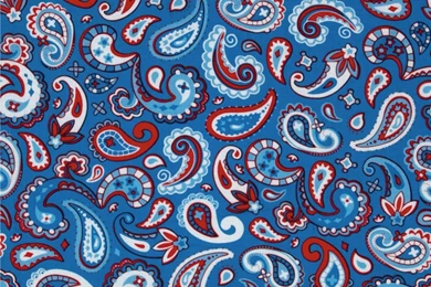 Blue Paisley   Bing Images