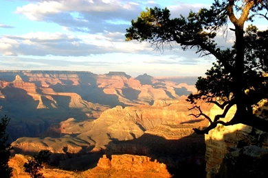 Digital Photo Editing Free: June 2010