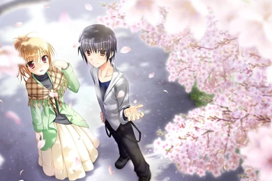 Cute Couple Wallpapers   Anime Wallpapers