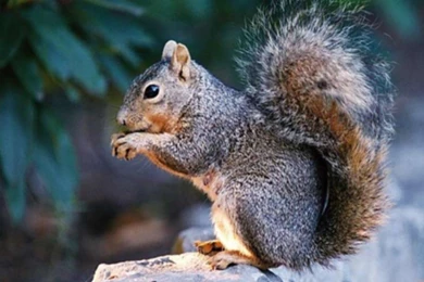 Soccer Unstoppable – BUZZERG