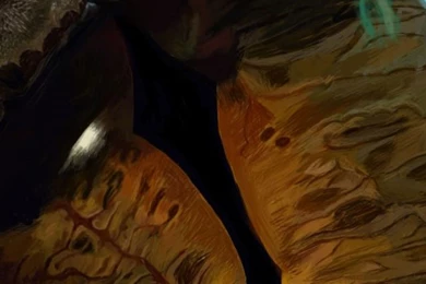 The Hobbit 3: The Battle Of The Five Armies 2014 Movie & Smaug ...