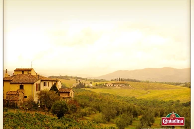 Contadina – Tuscan Landscape Wallpapers