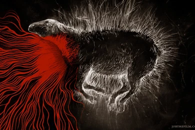 1280x800 ChrisKoelle JOB Lamb.jpg