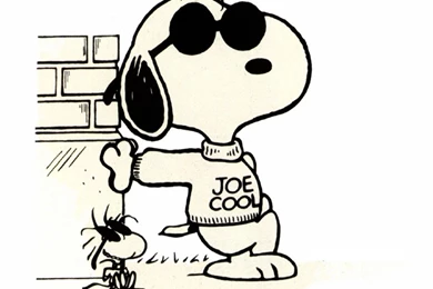 Snoopy And Woodstock Childhood Memories Wallpapers (250732) Fanpop