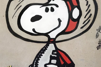 DeviantArt: More Like Snoopy And Woodstock By DragaoNegro