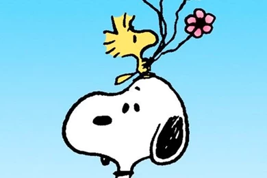 Free Snoopy And Woodstock Computer Desktop Hd Wallpapers ...