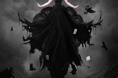 QUEEN OF HEARTS WALLPAPER   (