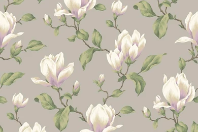 Ashford House Blooms Magnolia Branch Wallpapers   Wallpapers ...