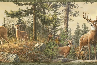 Whitetail Crest Deer Wallpapers Border