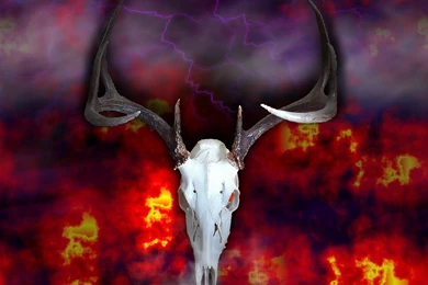 Deer: Spirit Deer Skull Fantasy Animals Whitetail Wallpapers ...