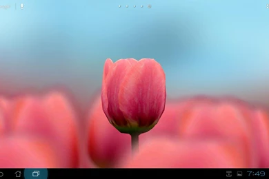 FREE LIVE WALLPAPERS 7B9