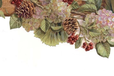 Fresh And Natural Kitchen Wallpapers Borders