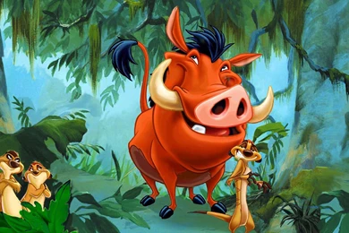 The Lion King Beautiful High Quality HD Wallpapers   All HD Wallpapers