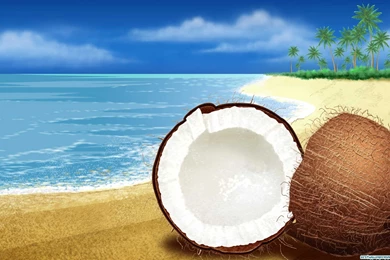Coconut   1547452